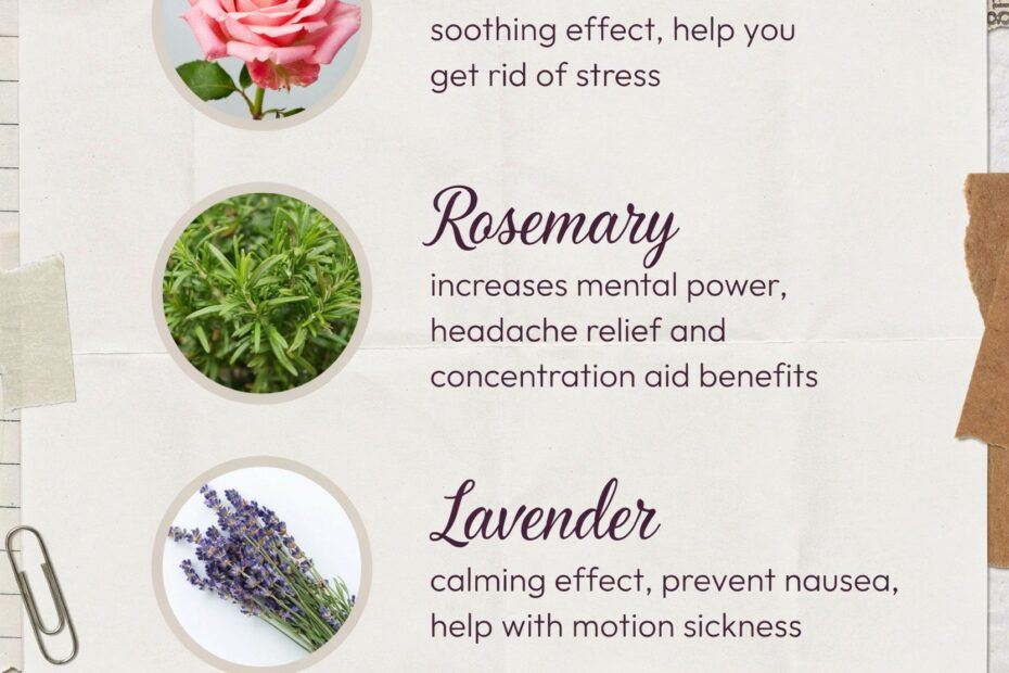 Aromatherapy Vegan Candles | Discover Scent Meanings for Mood | Home Fragrance Guide